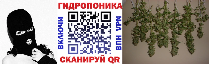 Конопля план  Северодвинск 